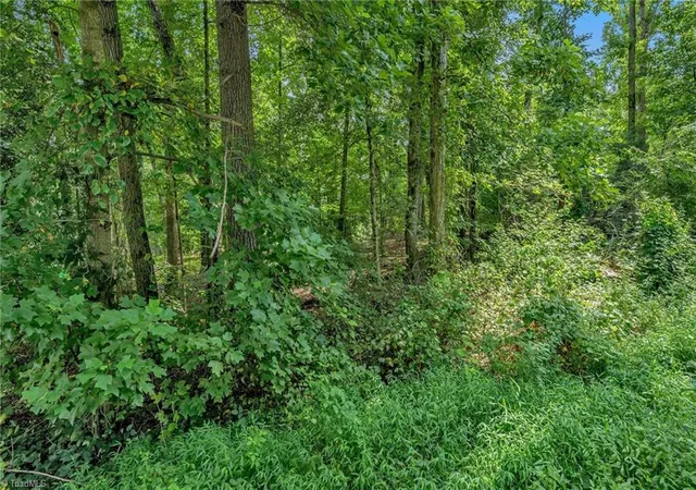 Photo 5 of Land for sale at Tbd Raven Oak Dr, Wilkesboro, NC 28697 | MLS# 1232870 | Listing updated on 2026-08-28