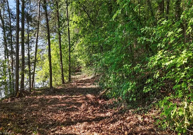 5th image of 000 Pinehaven Dr, New London, NC 28127 | MLS# 1228152
