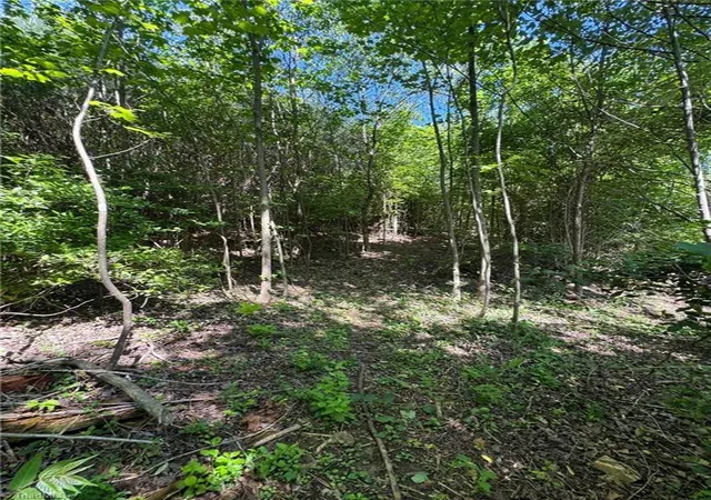 Photo 27 of Land for sale at Lot 54 Billings Hl Church Rd, Traphill, NC 28685 | MLS# 1182070 | Listing updated on 2026-05-15