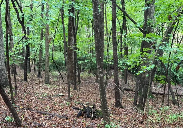 12th image of 00 Woodland Dr, Elkin, NC 28621 | MLS# 1231300