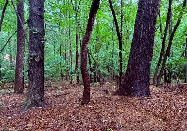 1st image of 00 Woodland Dr, Elkin, NC 28621 | MLS# 1231300