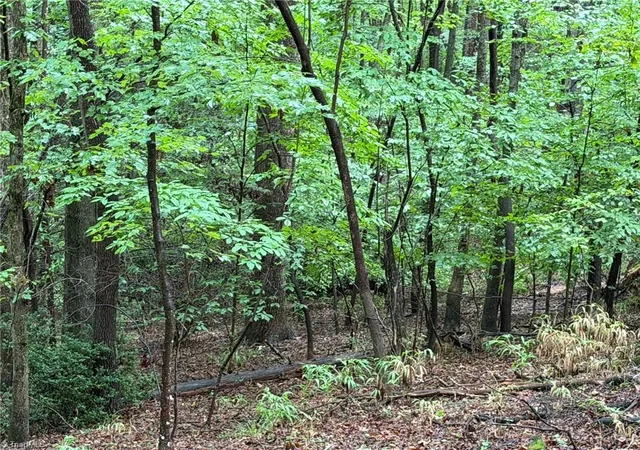 2nd image of 00 Woodland Dr, Elkin, NC 28621 | MLS# 1231300