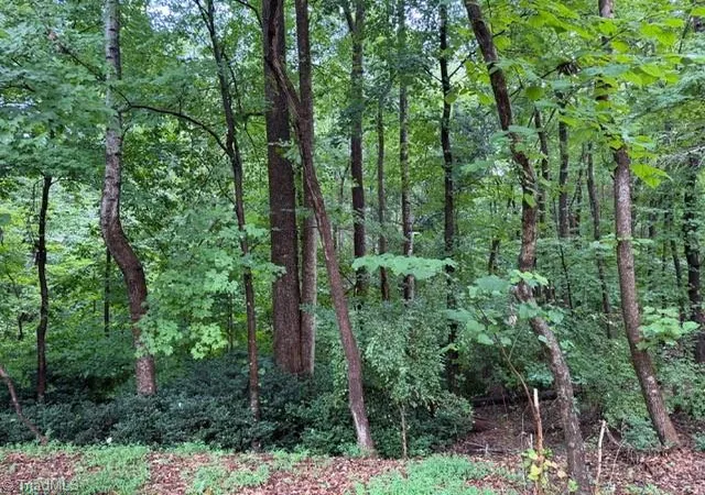 5th image of 00 Woodland Dr, Elkin, NC 28621 | MLS# 1231300