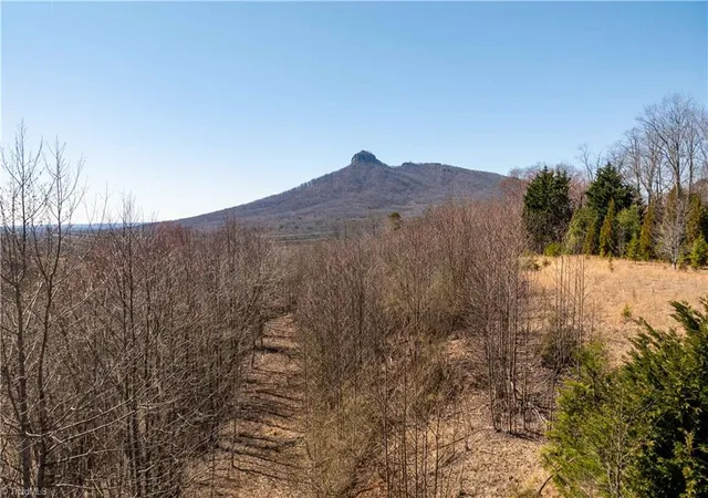 1st image of 222 Hummingbird Ln, Pilot Mountain, NC 27041 | MLS# 1231017