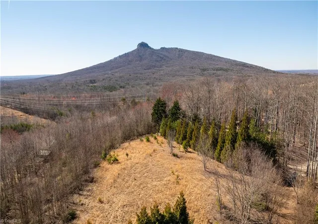 2nd image of 222 Hummingbird Ln, Pilot Mountain, NC 27041 | MLS# 1231017