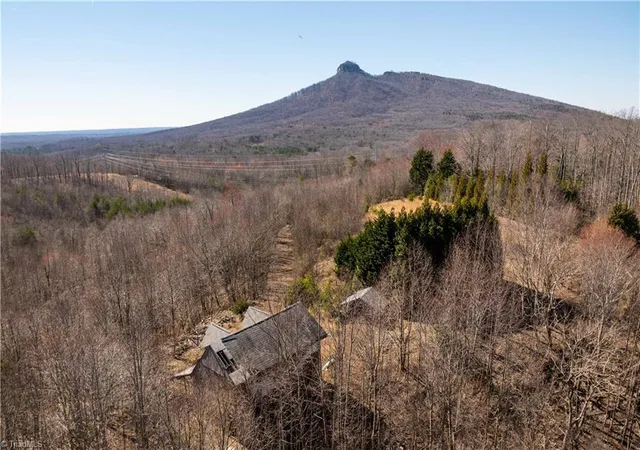 4th image of 222 Hummingbird Ln, Pilot Mountain, NC 27041 | MLS# 1231017