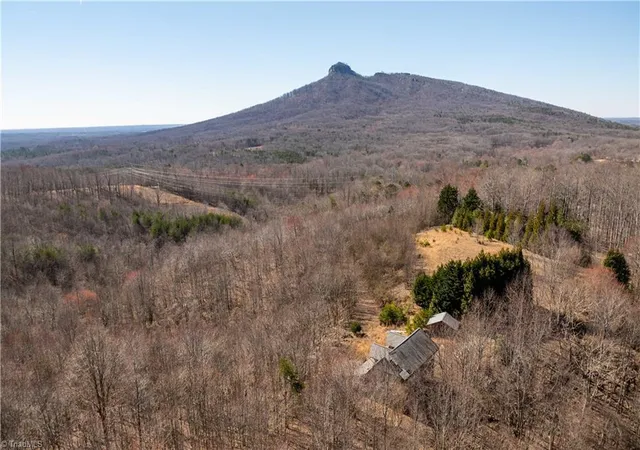5th image of 222 Hummingbird Ln, Pilot Mountain, NC 27041 | MLS# 1231017