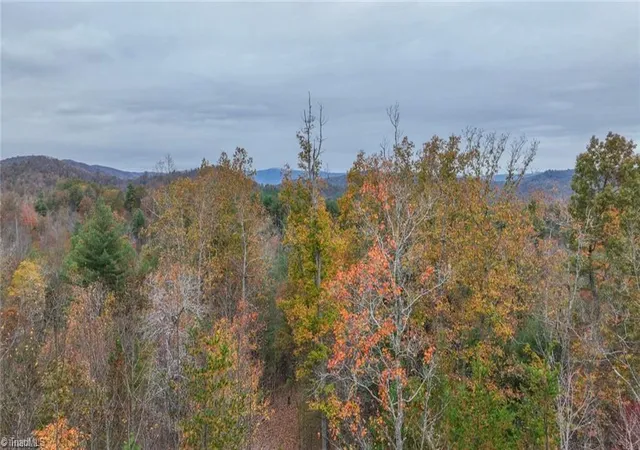 Photo 2 of Land for sale at 0 Tbd Us Hwy 421, Ferguson, NC 28624 | MLS# 1213349 | Listing updated on 2026-06-01