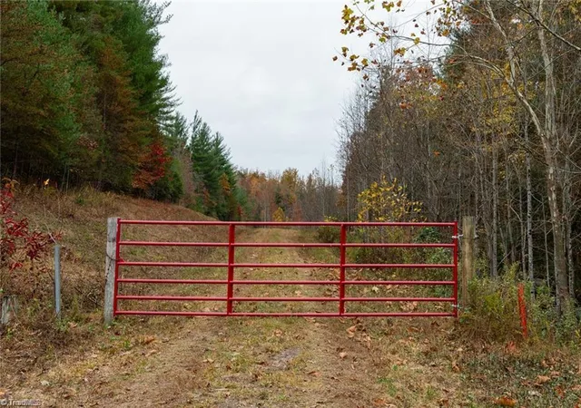 Photo 3 of Land for sale at 0 Tbd US Hwy 421, Ferguson, NC 28624 | MLS# 1213349 | Listing updated on 2026-06-01