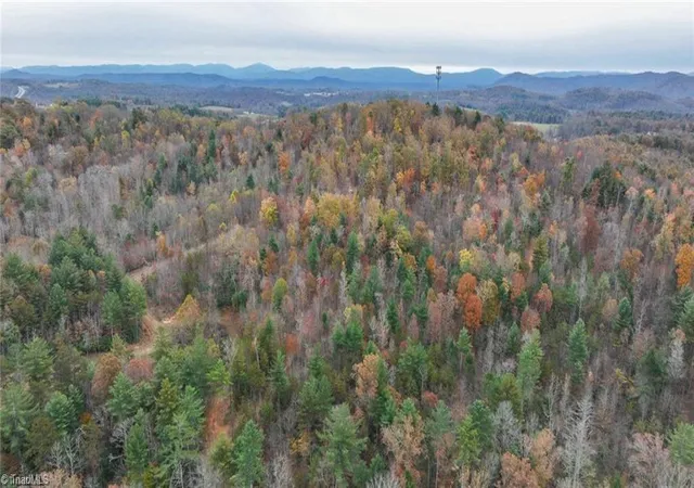 Photo 42 of Land for sale at 0 Tbd Us Hwy 421, Ferguson, NC 28624 | MLS# 1213349 | Listing updated on 2026-06-01