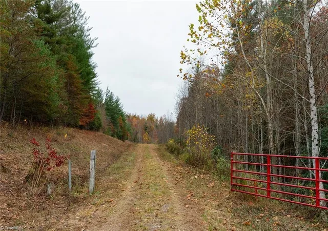 Photo 4 of Land for sale at 0 Tbd US Hwy 421, Ferguson, NC 28624 | MLS# 1213349 | Listing updated on 2026-06-01