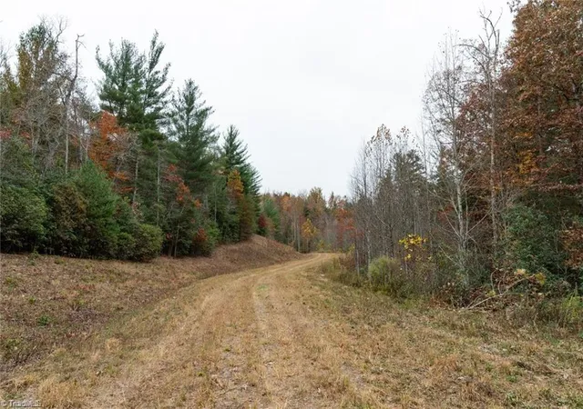 Photo 5 of Land for sale at 0 Tbd US Hwy 421, Ferguson, NC 28624 | MLS# 1213349 | Listing updated on 2026-06-01
