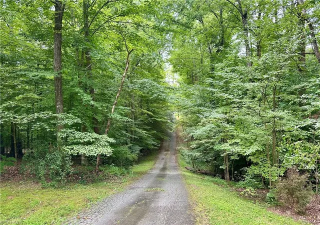 49th image of 541 Conrad Rd, Lewisville, NC 27023 | MLS# 1228746