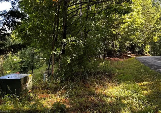 Homes for sale in Wilkesboro, NC | 00A Higgins Rd, Wilkesboro, NC 28697 | MLS# 1226971