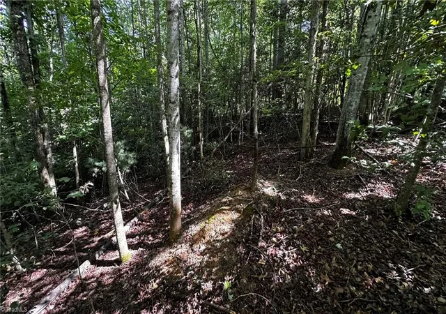 Homes for sale in Wilkesboro, NC | 00A Higgins Rd, Wilkesboro, NC 28697 | MLS# 1226971