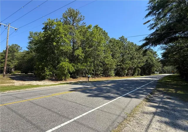 Homes for sale in Hamlet, NC | Tbd Cheraw Rd, Hamlet, NC 28345 | MLS# 1223515