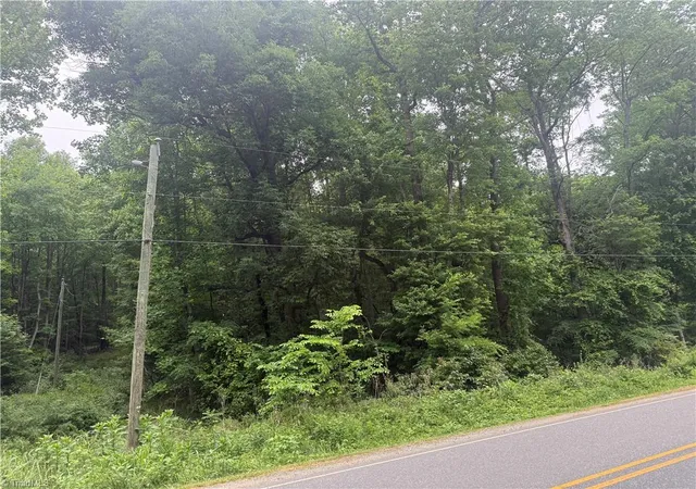 4th image of 505 Pleasant Hill Church Rd, Siler City, NC 27344 | MLS# 1218710