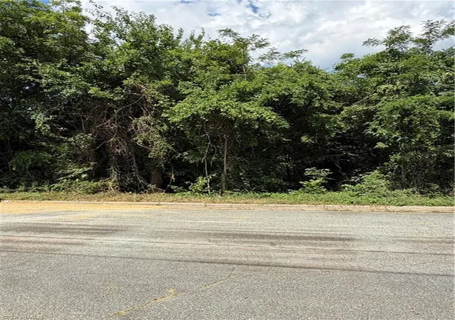 Photo 3 of Land for sale at 1007 Beaumont Ave, Greensboro, NC 27401 | MLS# 1224405 | Listing updated on 2026-06-15