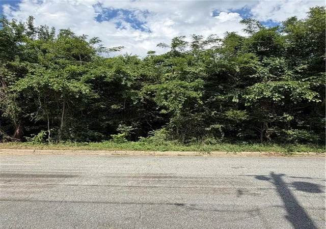 Photo 3 of Land for sale at 1007 Beaumont Ave, Greensboro, NC 27401 | MLS# 1224405 | Listing updated on 2026-06-15