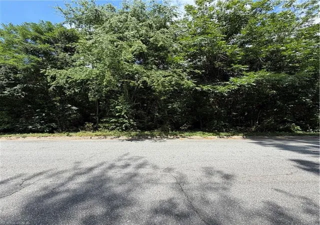 Photo 4 of Land for sale at 1007 Beaumont Ave, Greensboro, NC 27401 | MLS# 1224405 | Listing updated on 2026-06-15