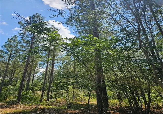 Photo 5 of Land for sale at 5600 Bennett Rd, Seagrove, NC 27341 | MLS# 1228591 | Listing updated on 2026-07-22