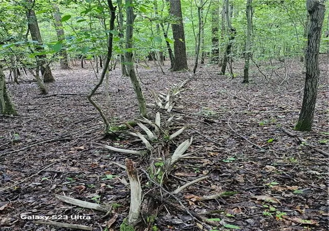 Photo 8 of Land for sale at 5600 Bennett Rd, Seagrove, NC 27341 | MLS# 1228591 | Listing updated on 2026-07-22