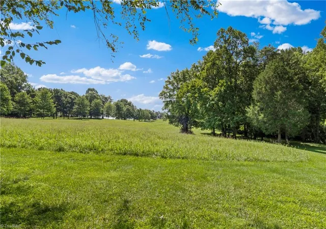 50th image of 404 Ararat Rd, Pilot Mountain, NC 27041 | MLS# 1230566