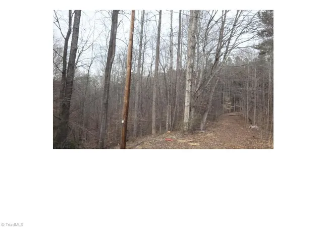 Photo 3 of Land for sale at 00 Mountview Dr, Pelham, NC 27311 | MLS# 1175061 | Listing updated on 2026-08-17