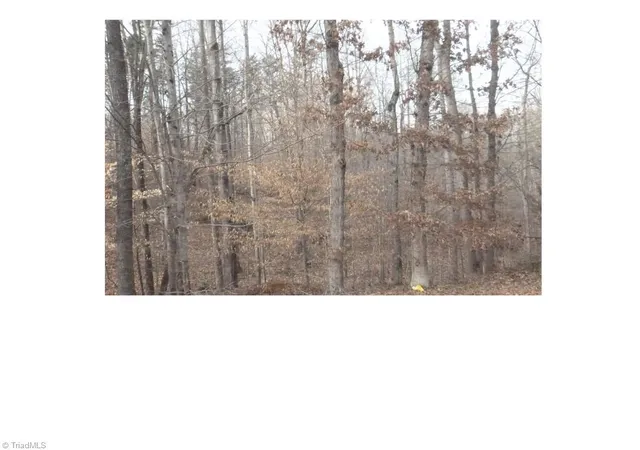 Homes for sale in Pelham, NC | 00 Mountview Dr, Pelham, NC 27311 | MLS# 1175061