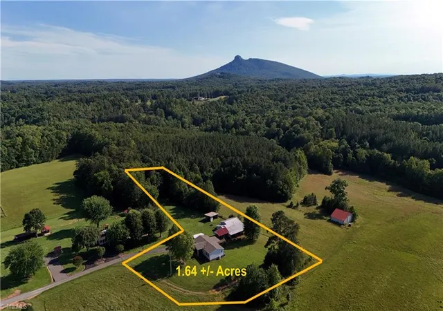 Homes for sale in Pinnacle, NC | 1075 Atkins Ln, Pinnacle, NC 27043 | MLS# 1225958