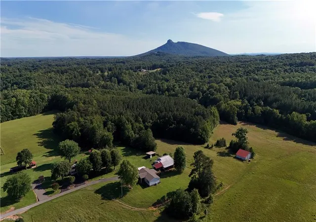 Homes for sale in Pinnacle, NC | 1075 Atkins Ln, Pinnacle, NC 27043 | MLS# 1225958