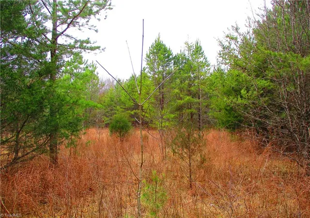 5th image of 1809 Alamance Church Rd, Greensboro, NC 27406 | MLS# 1210017