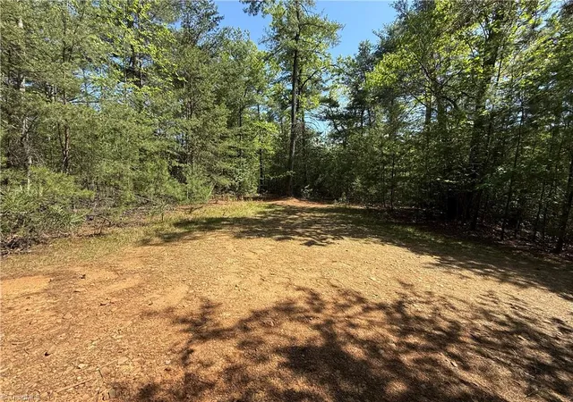 Homes for sale in Purlear, NC | Lots 51 & 52a Staghorn Rd, Purlear, NC 28665 | MLS# 1217133