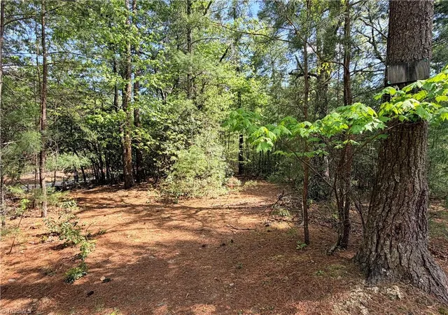 Homes for sale in Purlear, NC | Lots 51 & 52A Staghorn Rd, Purlear, NC 28665 | MLS# 1217133