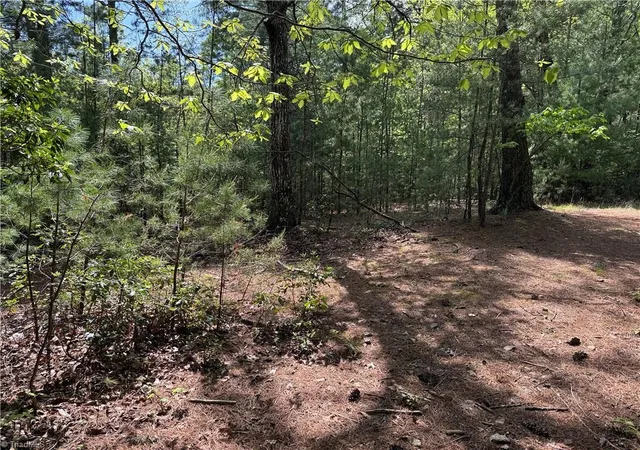 Homes for sale in Purlear, NC | Lots 51 & 52A Staghorn Rd, Purlear, NC 28665 | MLS# 1217133