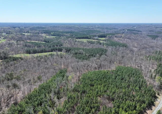 Photo 4 of Land for sale at 508 New Lebanon Church Rd, Reidsville, NC 27320 | MLS# 1227011 | Listing updated on 2026-07-08