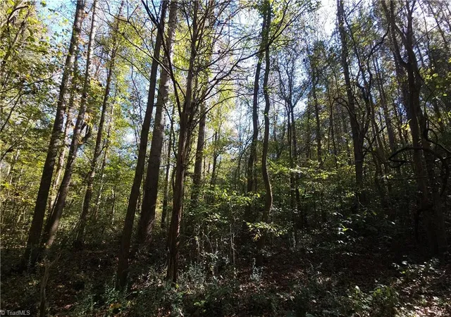 12th image of 460 Mr Henry Rd, Mocksville, NC 27028 | MLS# 1200544