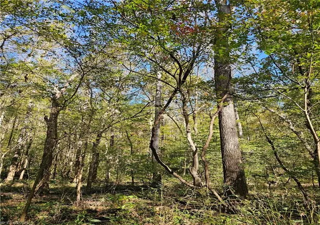 3rd image of 460 Mr Henry Rd, Mocksville, NC 27028 | MLS# 1200544