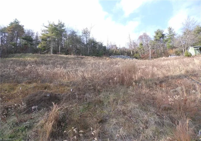 Photo 5 of Land for sale at 4143 Mountain View Rd, Glade Valley, NC 28627 | MLS# 1051415 | Listing updated on 2025-12-20