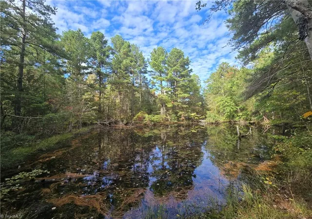 Photo 1 of Land for sale at 0 Bass Mountain Rd, Snow Camp, NC 27349 | MLS# 1219893 | Listing updated on 2026-09-15