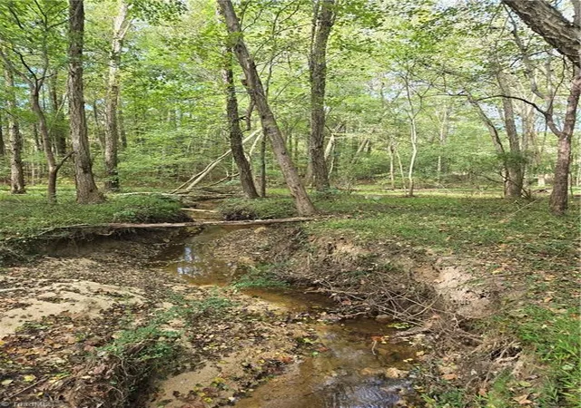 Photo 3 of Land for sale at 0 Bass Mountain Rd, Snow Camp, NC 27349 | MLS# 1219893 | Listing updated on 2026-09-15