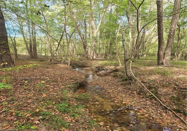 Photo 4 of Land for sale at 0 Bass Mountain Rd, Snow Camp, NC 27349 | MLS# 1219893 | Listing updated on 2026-09-15