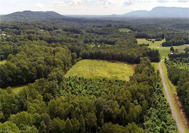 16th image of 0 Inman Rd, Pilot Mountain, NC 27041 | MLS# 1230906