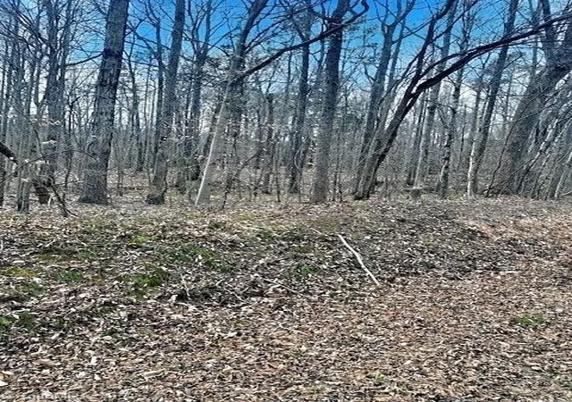 12th image of 0 Parham Rd, Roxboro, NC 27574 | MLS# 1212371