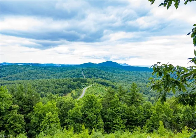 Photo 50 of Single family home for sale at 1053 Rich Hl Mountain Rd, Glade Valley, NC 28627 | MLS# 1179538 | Listing updated on 2026-08-14
