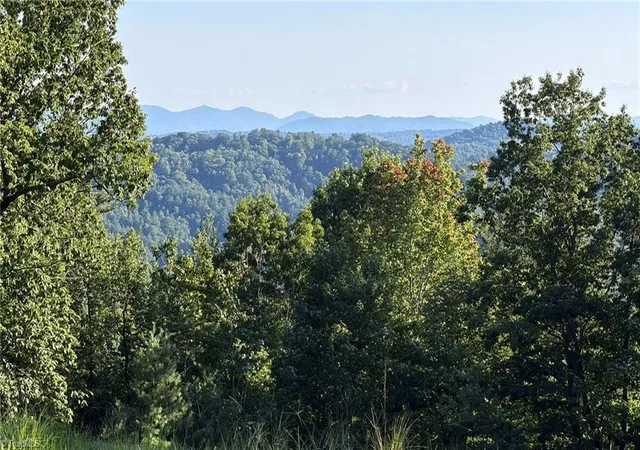 Photo 1 of Land for sale at 000 Carriage House Trl #Lot 157, Mc Grady, NC 28649 | MLS# 1229992 | Listing updated on 2026-09-03