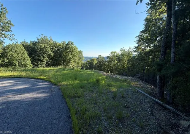 Photo 4 of Land for sale at 000 Carriage House Trl #Lot 157, Mc Grady, NC 28649 | MLS# 1229992 | Listing updated on 2026-09-03