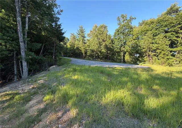 Photo 5 of Land for sale at 000 Carriage House Trl #Lot 157, Mc Grady, NC 28649 | MLS# 1229992 | Listing updated on 2026-09-03