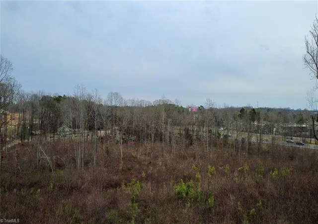 15th image of 0 Bill Medlin Rd, Lexington, NC 27292 | MLS# 1210612