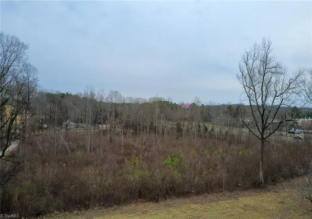 4th image of 0 Bill Medlin Rd, Lexington, NC 27292 | MLS# 1210612